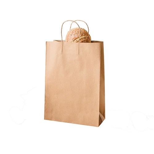 Paper Carry Bag Brown Small