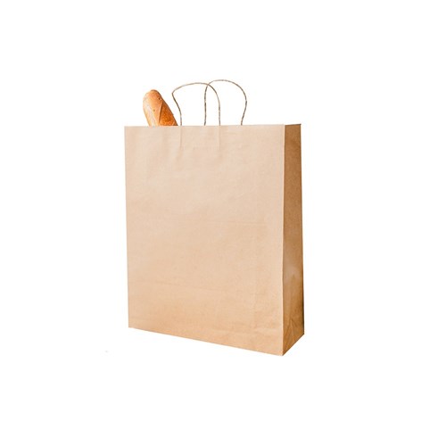 Paper Carry Bag Brown Large